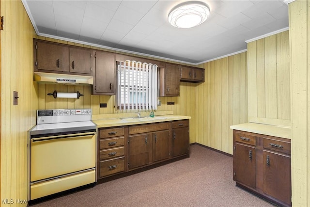 kitchen with sink, crown molding, dark brown cabinets, white electric range oven, and wood walls