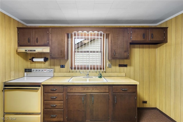 kitchen with crown molding, sink, range with electric stovetop, and wood walls