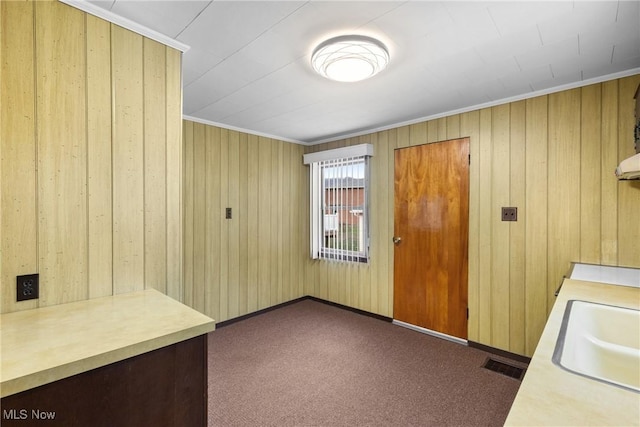 interior space with sink, ornamental molding, wood walls, and dark colored carpet