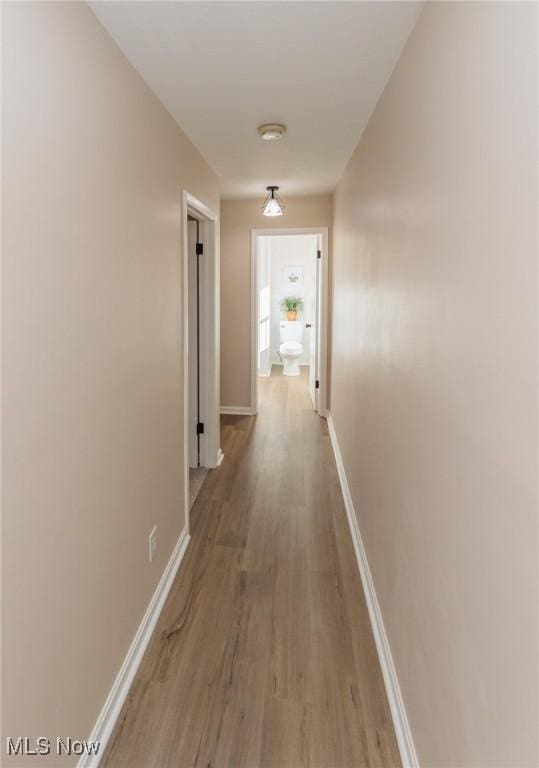 hall featuring hardwood / wood-style floors