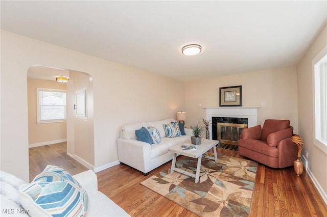 living room featuring a fireplace and light hardwood / wood-style flooring