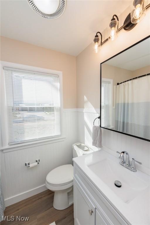 bathroom with wood-type flooring, walk in shower, vanity, and toilet