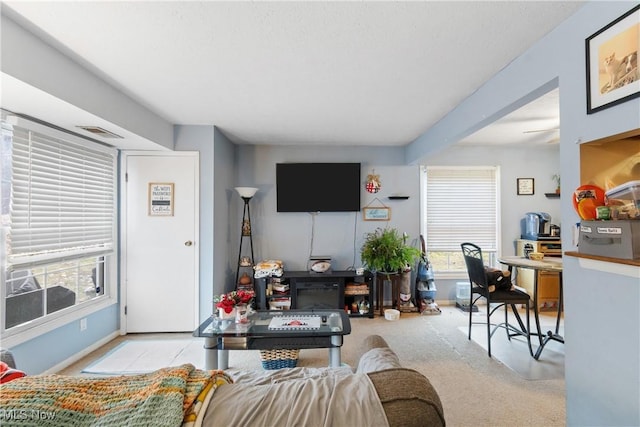 view of carpeted living room