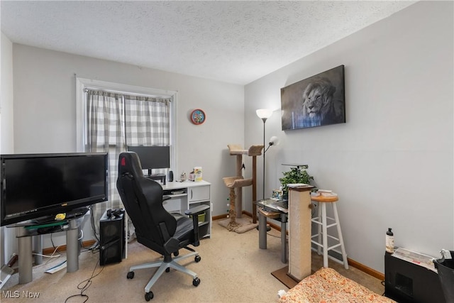 office space with light colored carpet and a textured ceiling