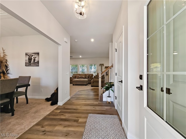 entryway featuring wood-type flooring