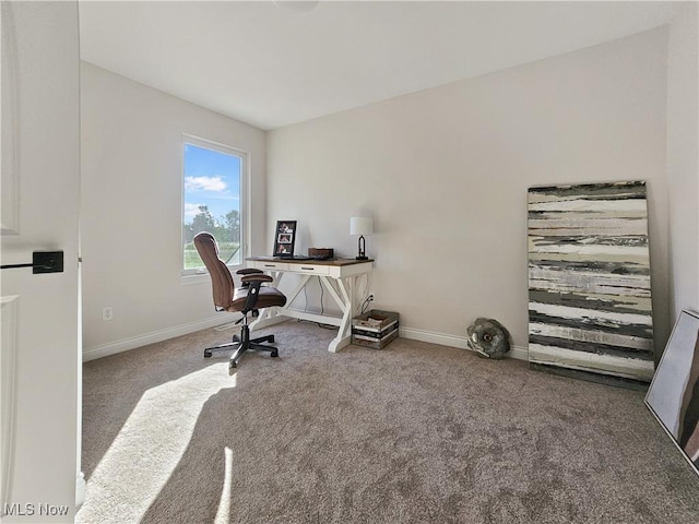 view of carpeted office space