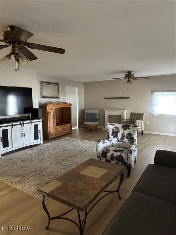 living room with light hardwood / wood-style floors and ceiling fan