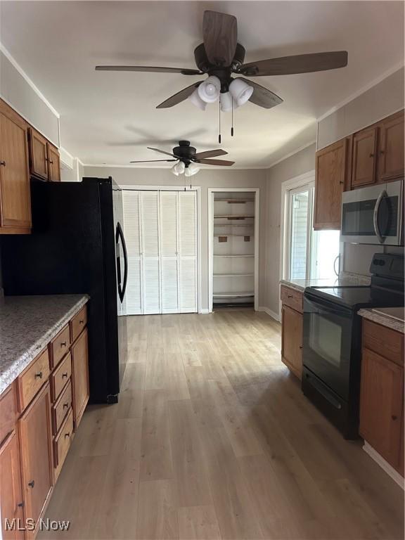 kitchen with light hardwood / wood-style flooring and black appliances