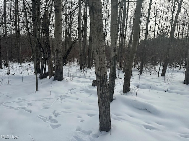 view of snowy yard