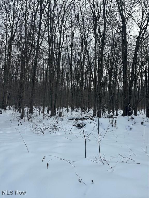 view of snow covered land