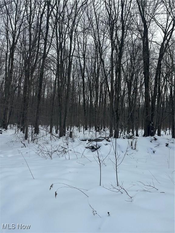 view of yard layered in snow