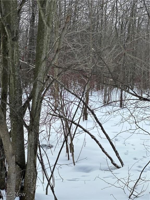 view of snowy landscape