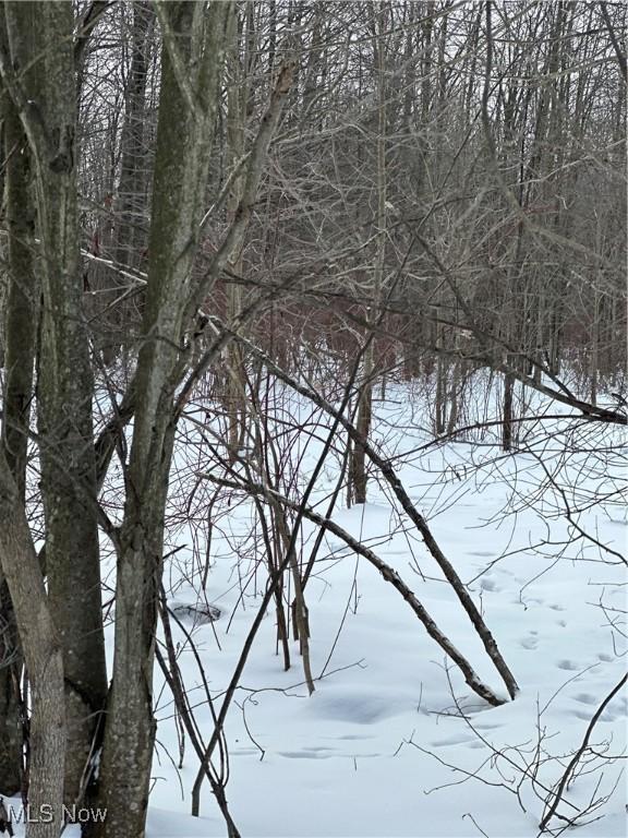 view of snowy view