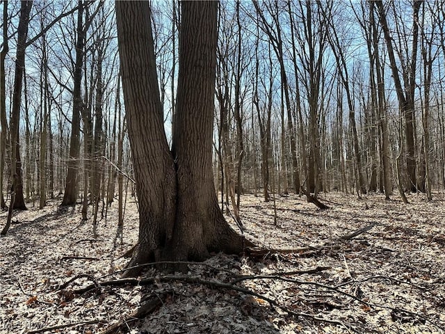 view of local wilderness featuring a wooded view