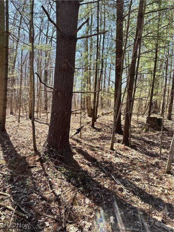 view of local wilderness