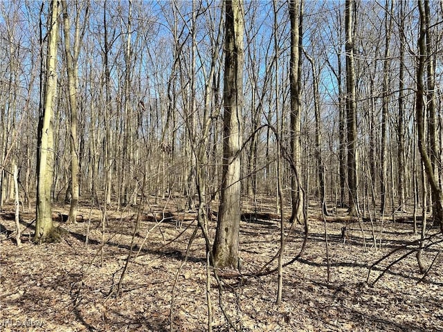 view of nature