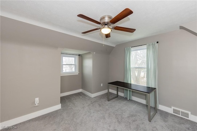 empty room featuring plenty of natural light, a textured ceiling, and vaulted ceiling