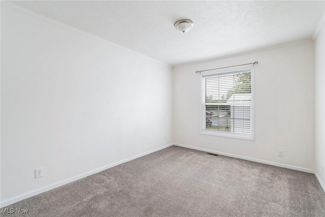 carpeted empty room with crown molding and a textured ceiling