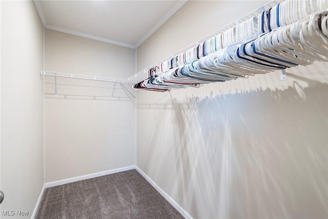 walk in closet featuring carpet