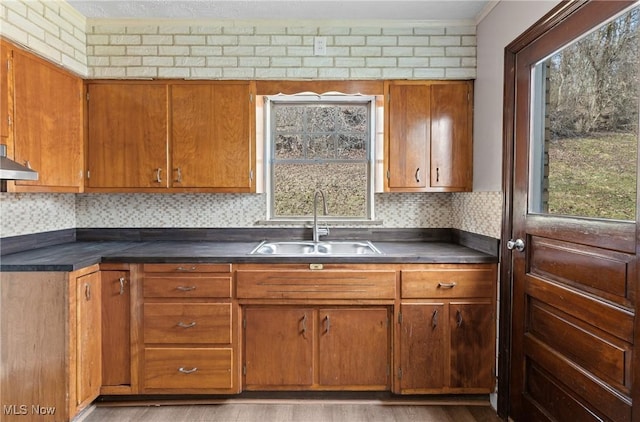 kitchen featuring sink, backsplash, and light hardwood / wood-style flooring