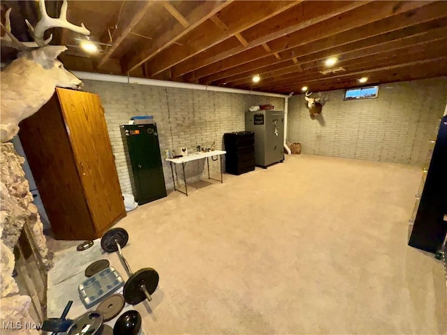 basement with brick wall