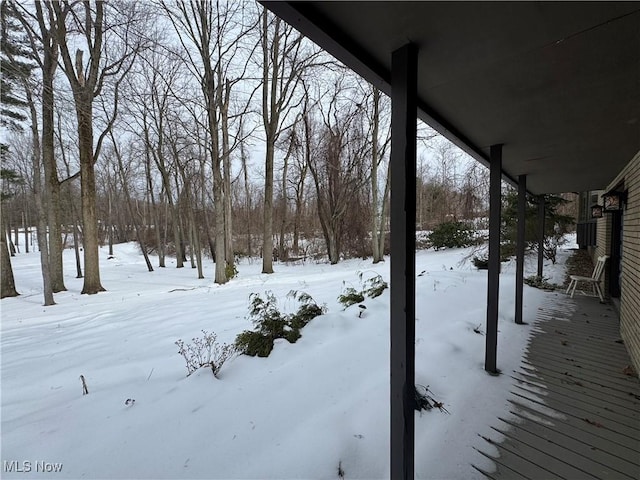 view of yard covered in snow