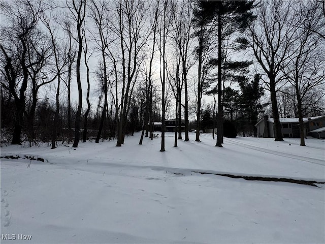 view of yard covered in snow