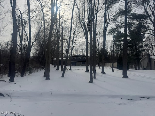 view of snowy yard