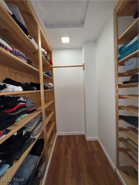 spacious closet with dark hardwood / wood-style floors