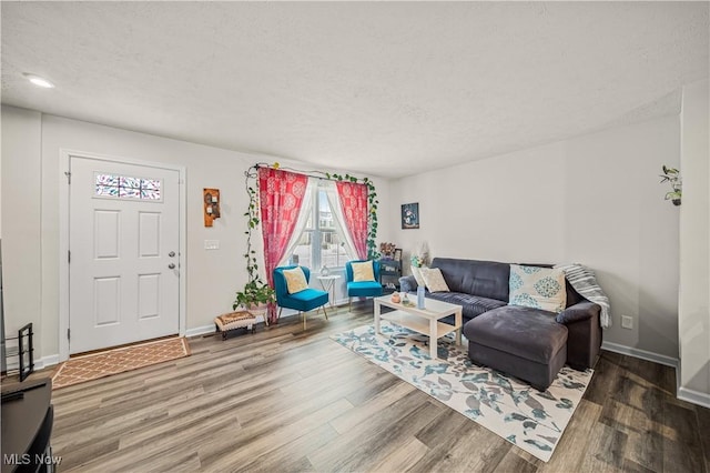 living room featuring hardwood / wood-style flooring and a textured ceiling