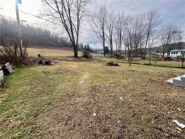 view of yard with a rural view