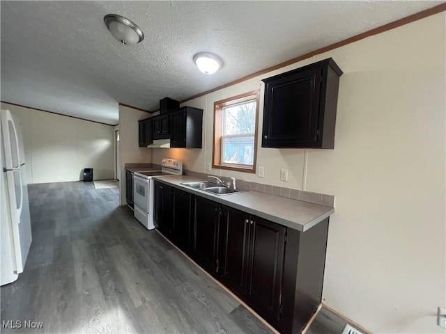 kitchen featuring sink, crown molding, a textured ceiling, dark hardwood / wood-style floors, and white appliances