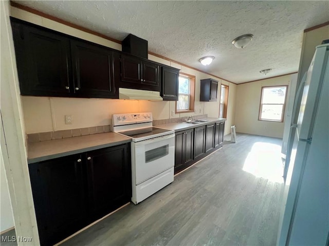 kitchen with sink, light wood-type flooring, white appliances, crown molding, and a textured ceiling