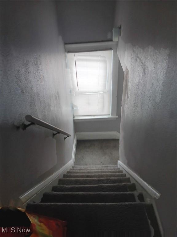 staircase featuring carpet floors