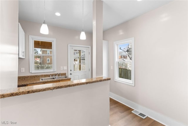 kitchen featuring hardwood / wood-style floors, plenty of natural light, sink, and pendant lighting