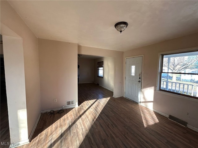 foyer entrance featuring plenty of natural light and dark hardwood / wood-style floors