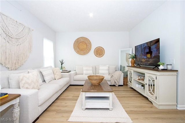 living room featuring light hardwood / wood-style flooring