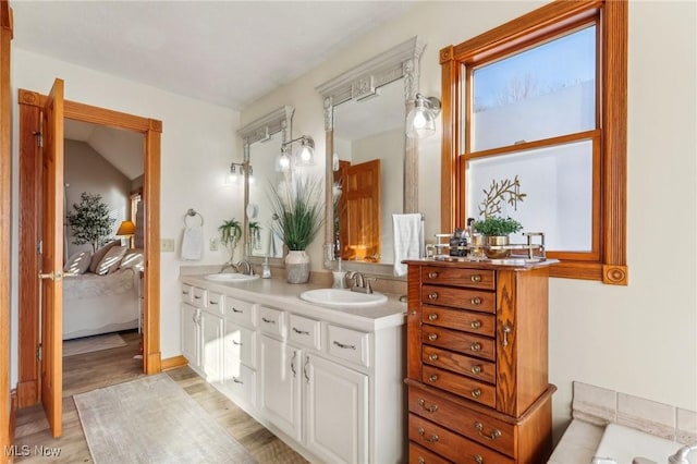 bathroom with vanity and hardwood / wood-style flooring