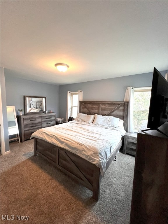 bedroom featuring multiple windows and carpet flooring