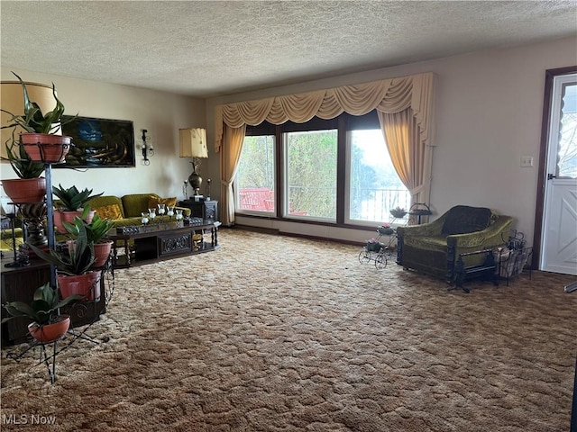 carpeted living room with a textured ceiling