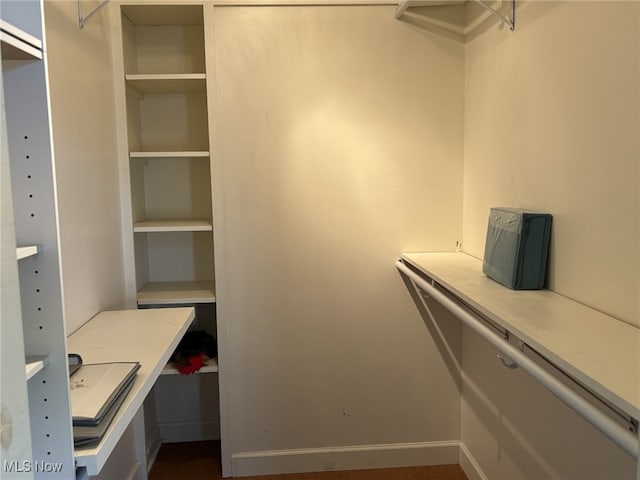 view of spacious closet