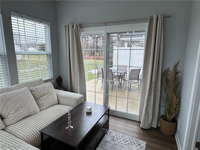 living room with hardwood / wood-style floors