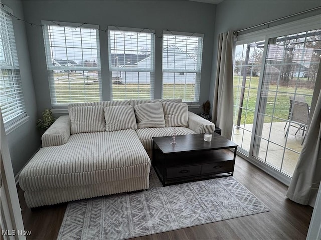 living room featuring hardwood / wood-style flooring