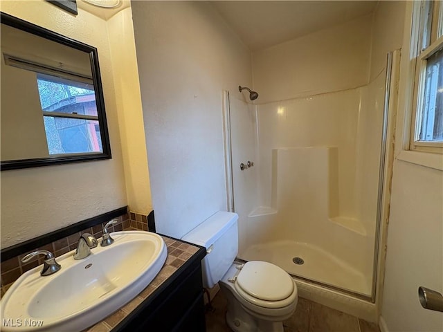 full bathroom with vanity, a shower stall, and toilet