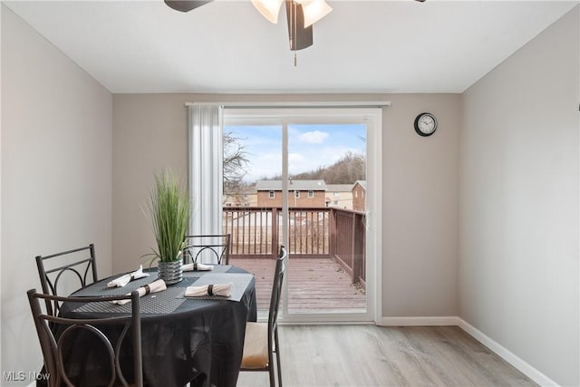 dining space with ceiling fan and light wood-type flooring