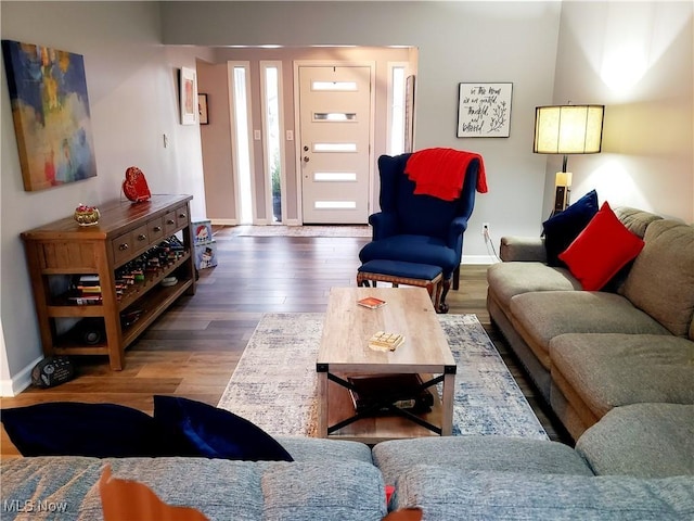 living room with wood-type flooring