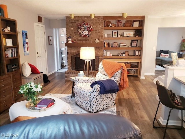 living room with a fireplace and wood-type flooring