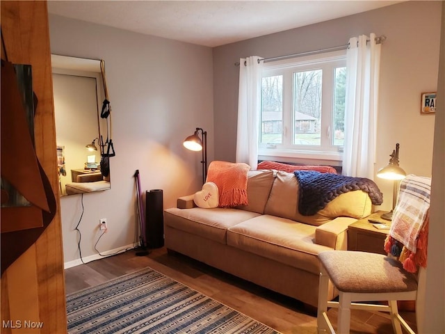 living room with hardwood / wood-style flooring