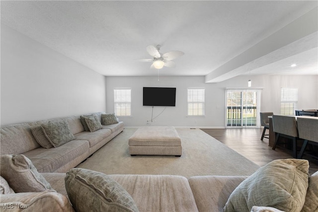 living room featuring wood-type flooring and ceiling fan