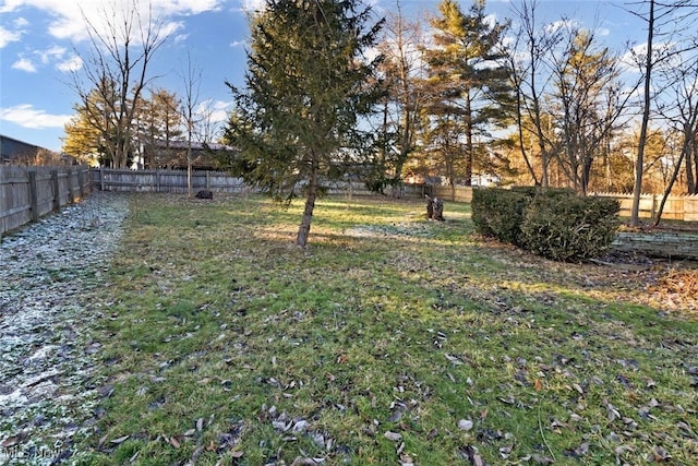 view of yard featuring a fenced backyard